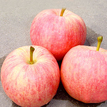 Gala Apples